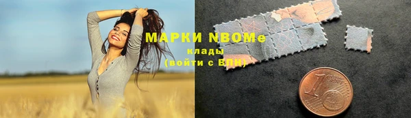 прущие грибы Новодвинск