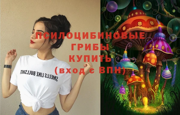 гидропоника Абдулино