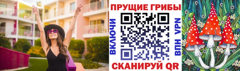 Галлюциногенные грибы мицелий  Сертолово 