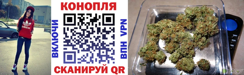 где найти   Сертолово  Бошки марихуана конопля 